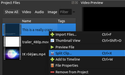 openshot video editor not showing images