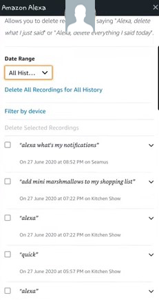 Check the Alexa history