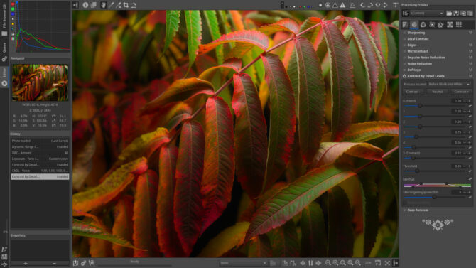raw therapee, free open source photo editing software