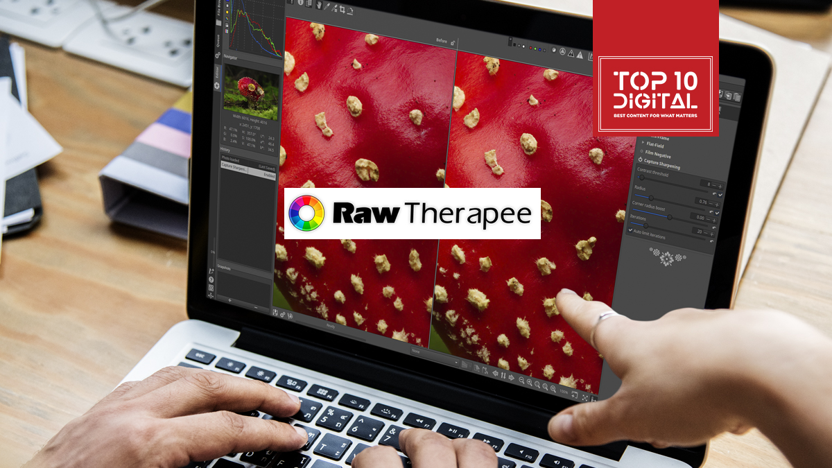 rawtherapee 5.0 user manual