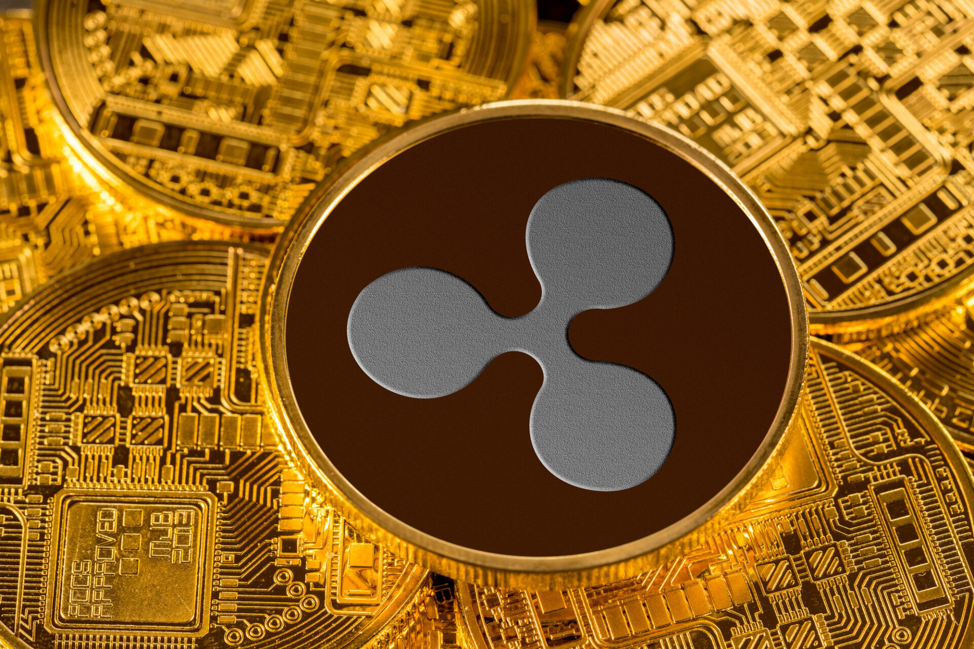 Ripple Cryptocurrency-Here Is What You Need To Know ...