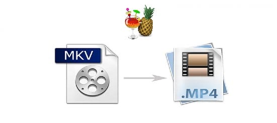 How To Convert MKV to MP4 Using Handbrake For Free? 39 Top10.Digital